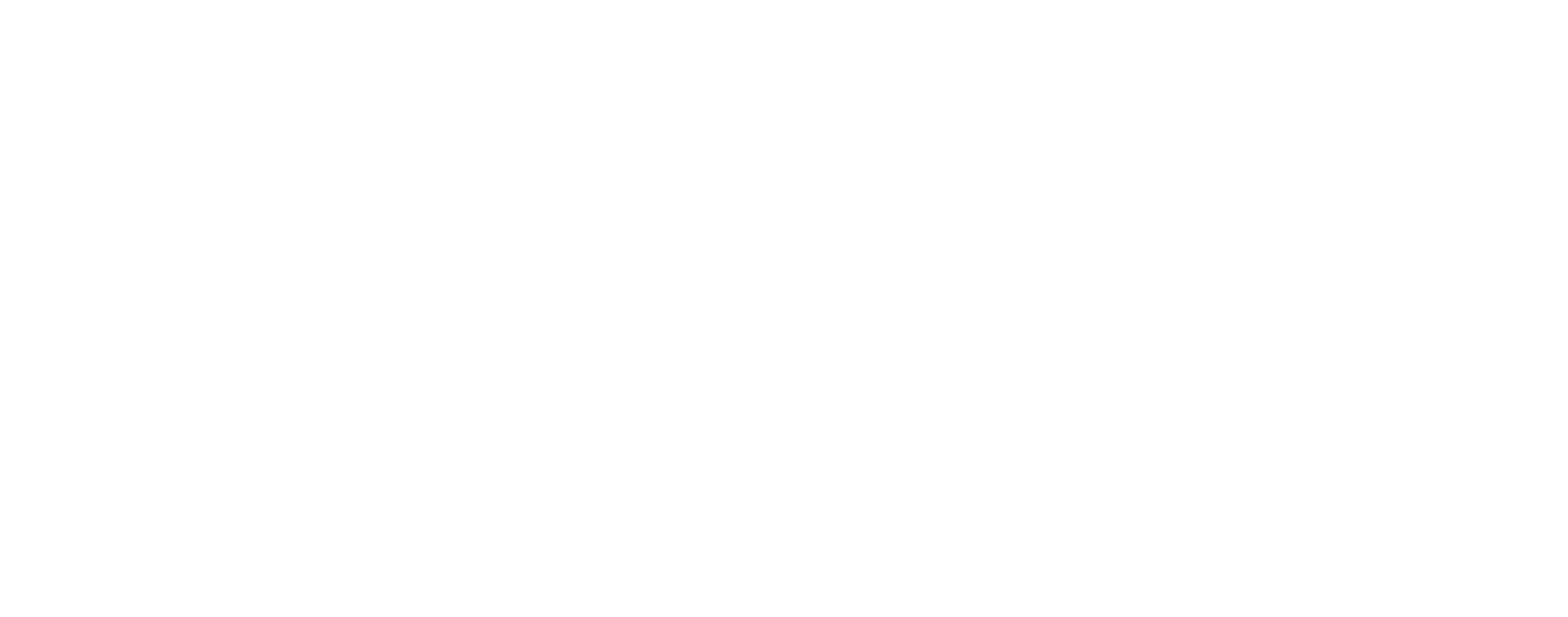 RGB Logo Teamleader White